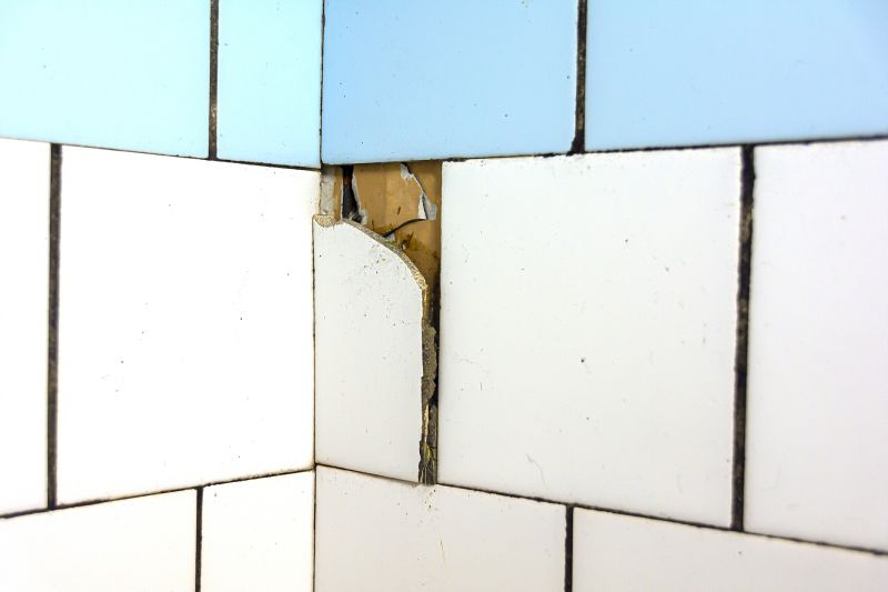 Tile Repair in Shower Area